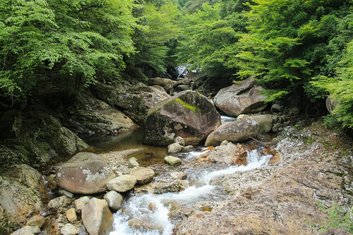 北宇和郡松野町の景色